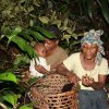 fondcamerun4