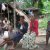 Cameroon